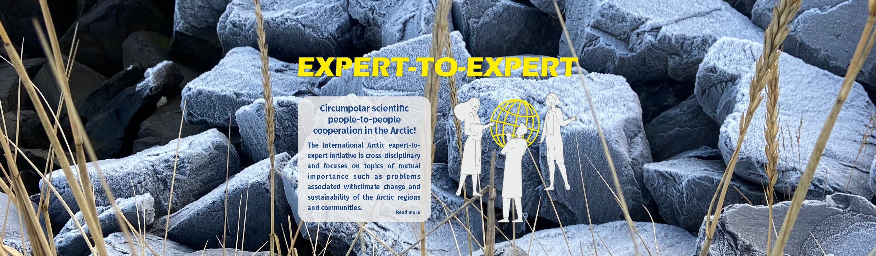 Arctic Portal Expert To Expert