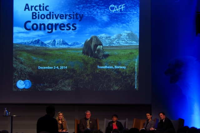Arctic Biodiversity Congress: Panel discussion