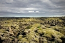 Lava and moss