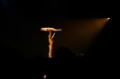 Cirque du Soleil