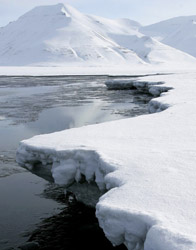 Ice in the arctic