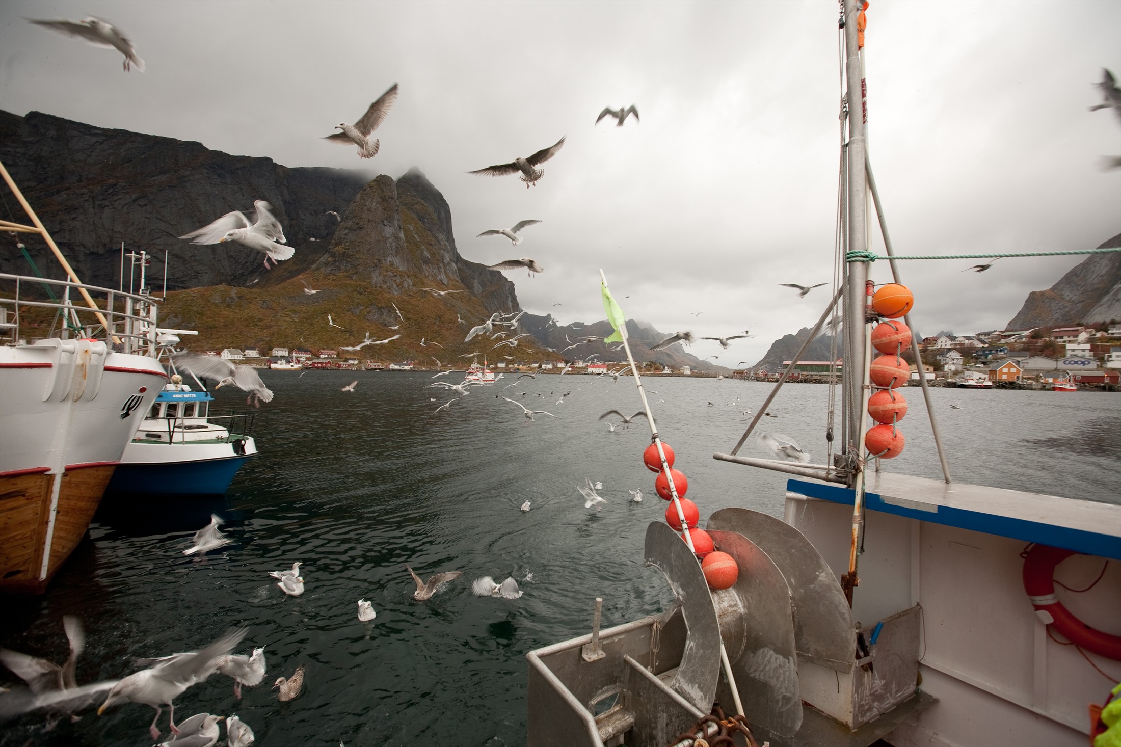 fishing boats in Norway