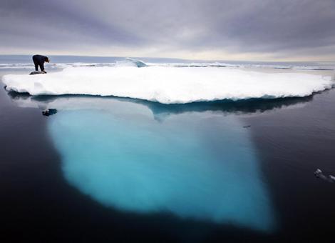 Polar bear walking on iceberg