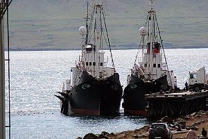 Icelandic whaling boats