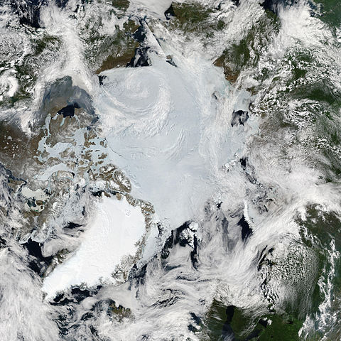The Arctic, Late June 2010