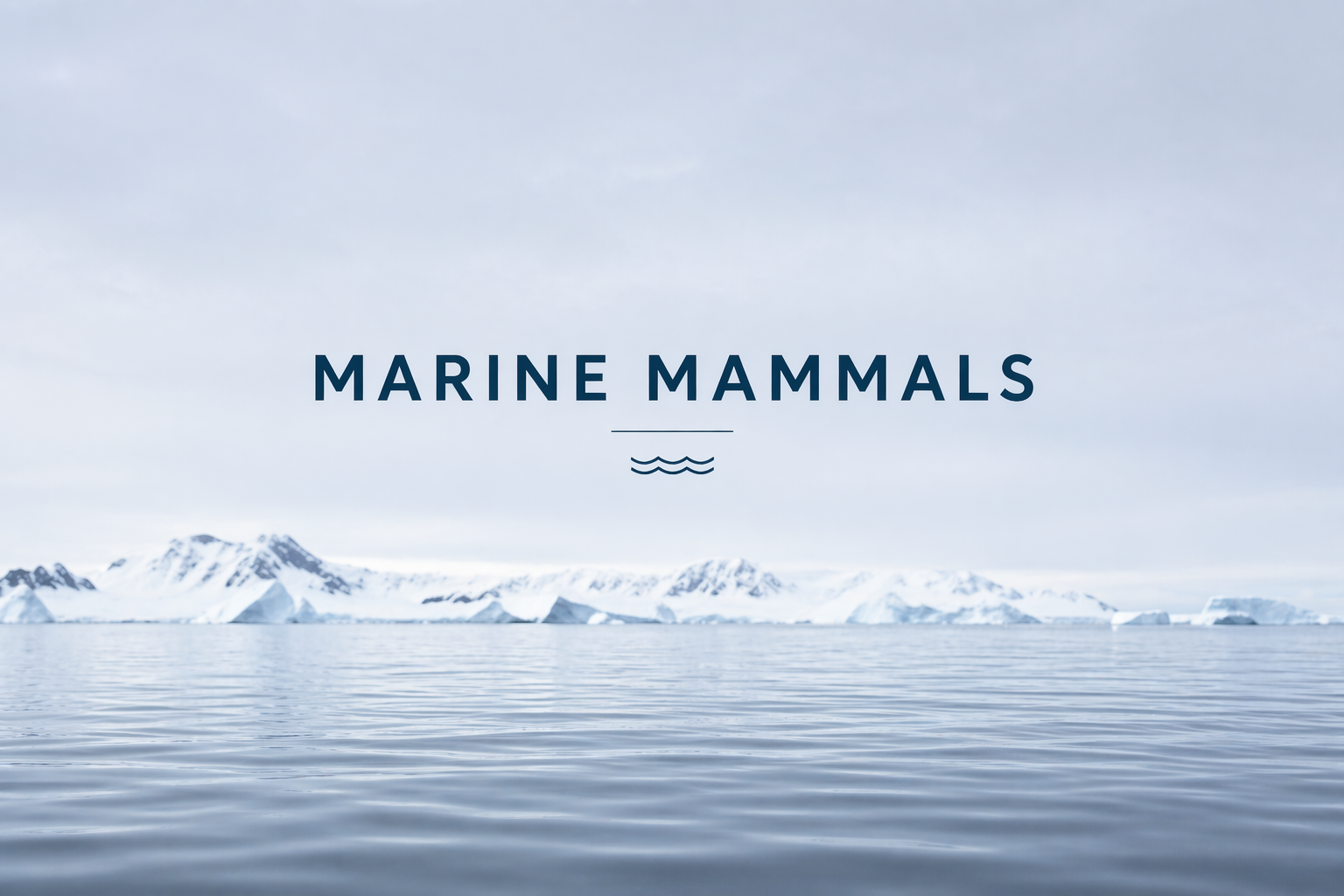 Marine mammals