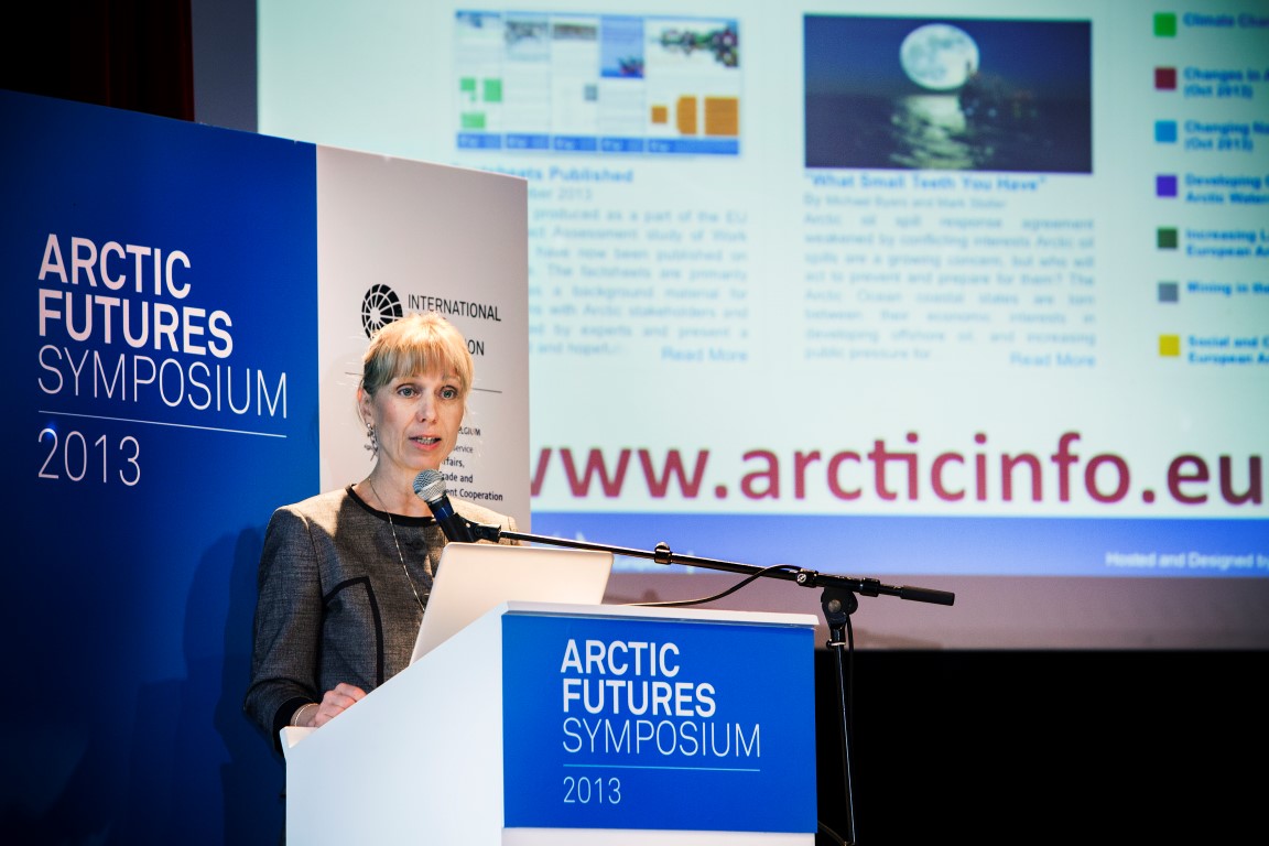 Paula Kankaanpää, director at Arctic Centre