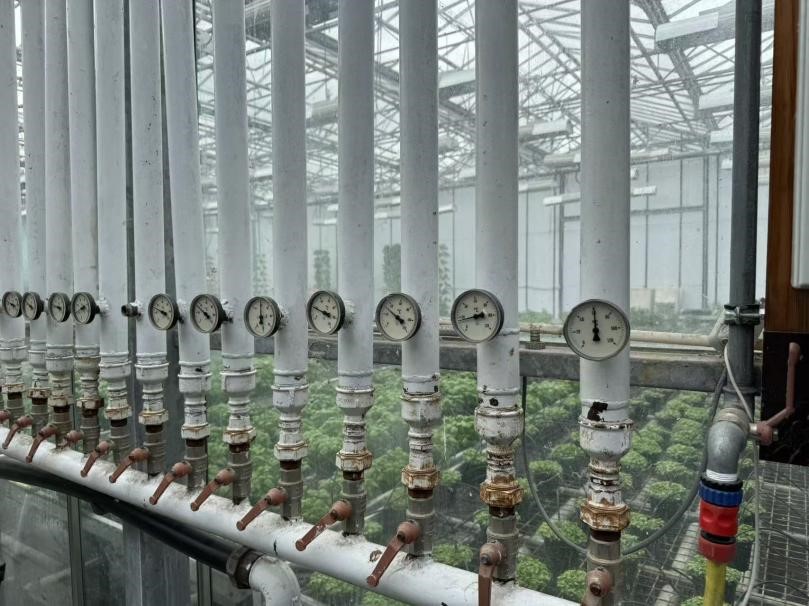 Fridheimar farm ArticleTongji