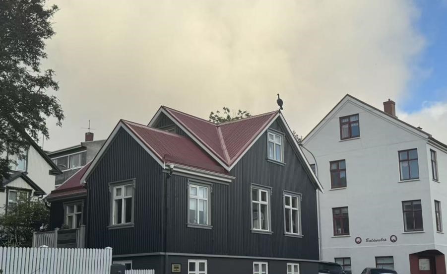 The sloping roof of houses Iceland ArticleTongji