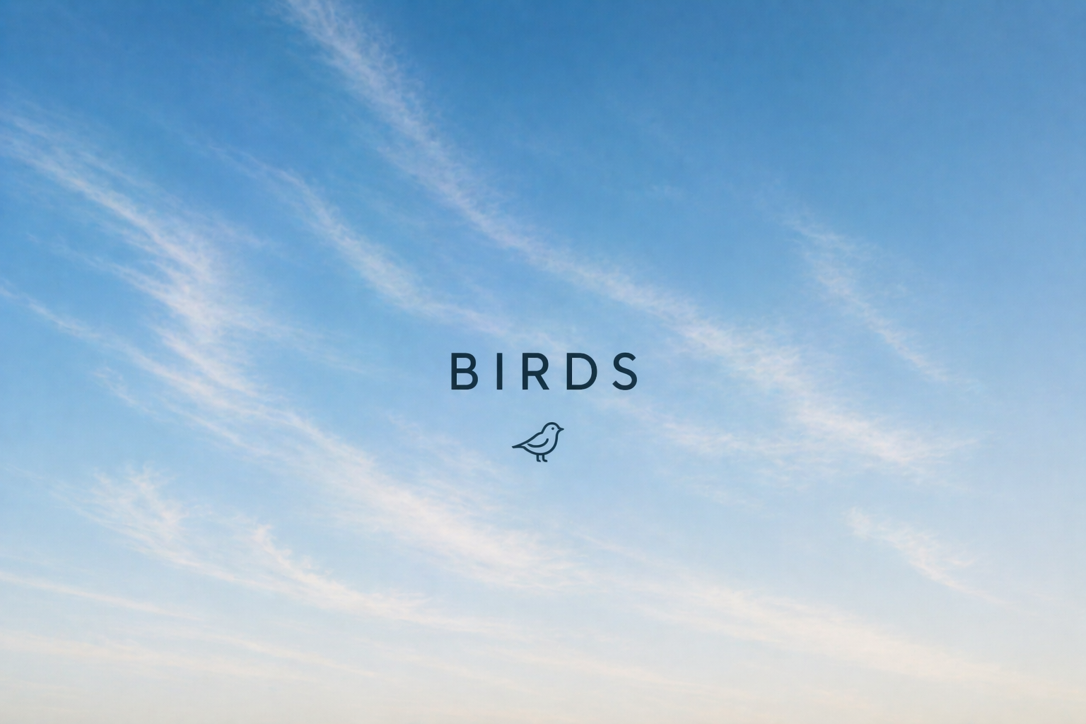 birds
