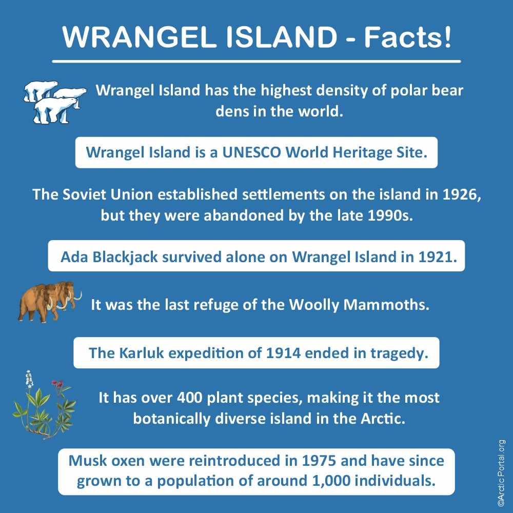 Wrangel Island facts