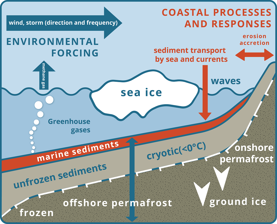 Arctic Coastal dynamics