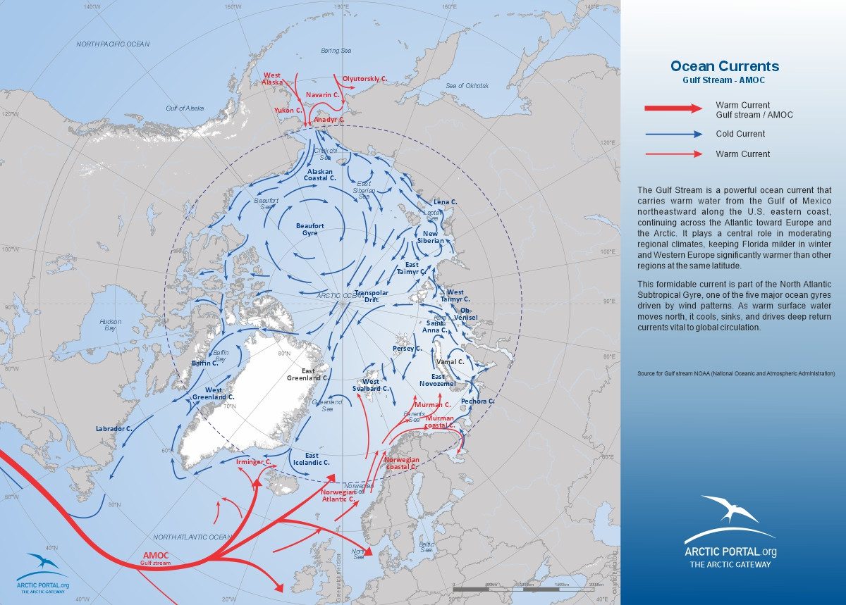 Arctic Portal Map - Gulf Stream - AMOC