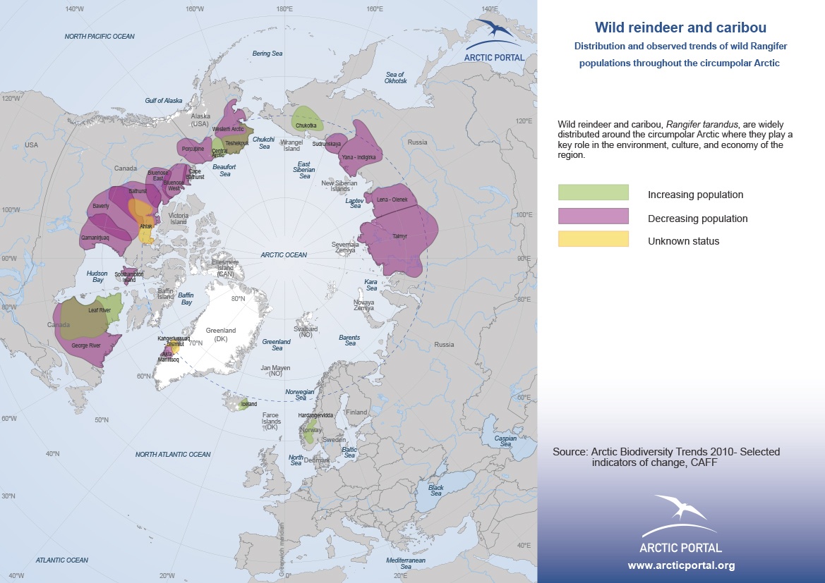 Arctic Portal Map - Wild Reindeer and Caribou