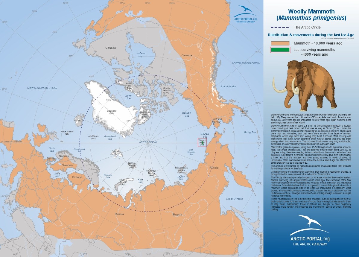 Arctic Portal Map - Woolly Mammoth Distribution and Movement during the last Ice Age