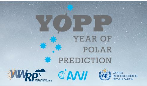 YOPP Icepot