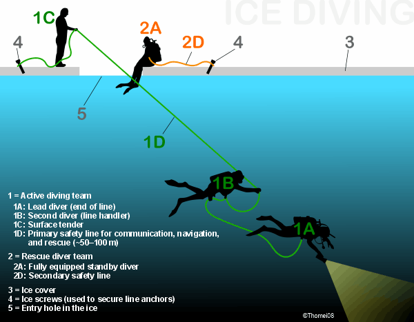 Diving in the Arctic - under ice