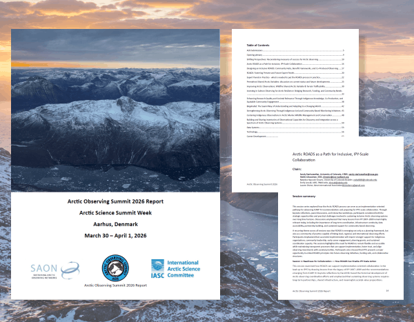 Arctic Observing Summit 2026 Report