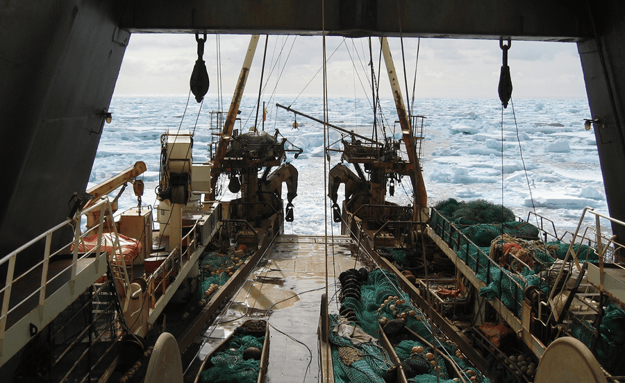 Fishing in Iceland