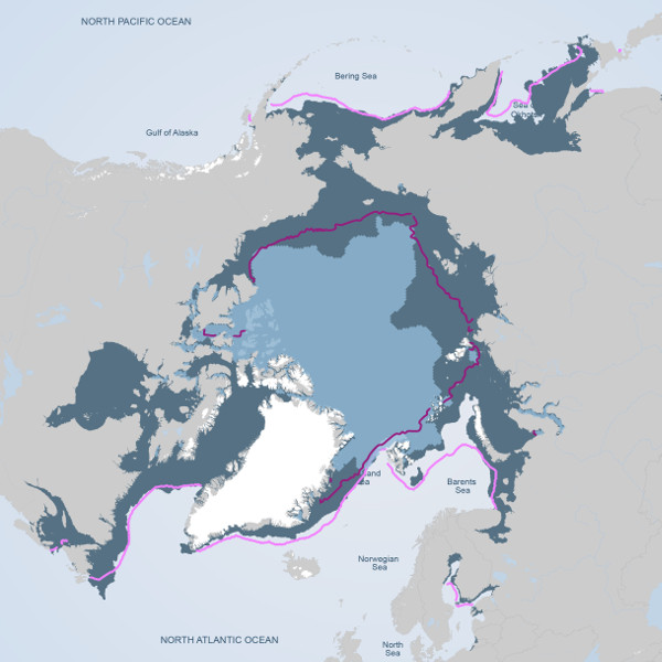 Arctic Sea Ice 2014/2015 and median line 1981-2010.