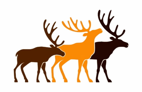 Gwich'in Council International (GCI)