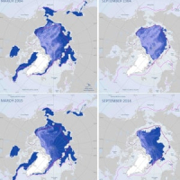 Arctic Sea Ice
