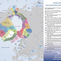 Arctic Lichens