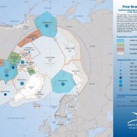 Polar Bear Population